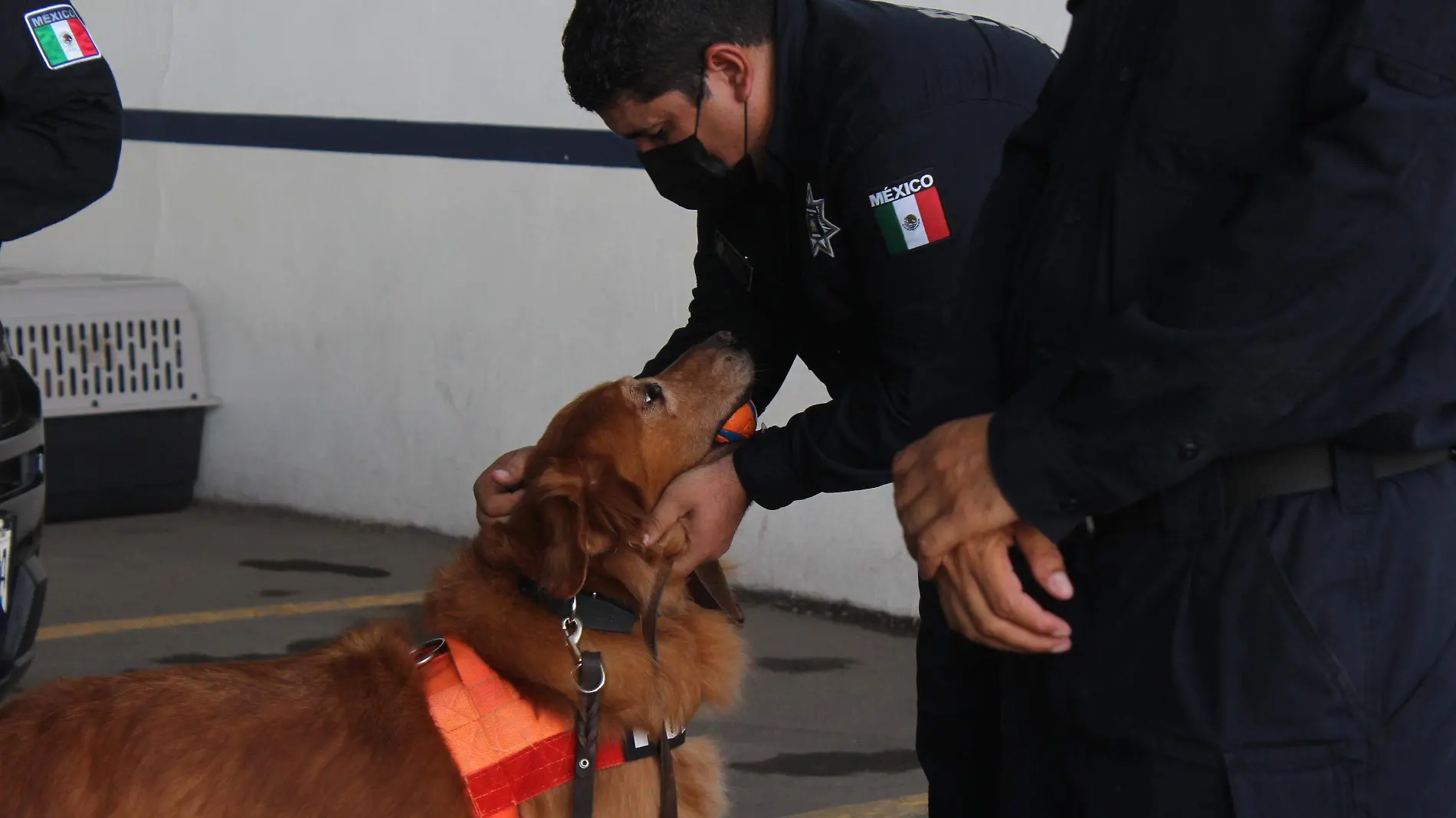 Agentes K-9 perro gustavo - Mike Acosta (6)